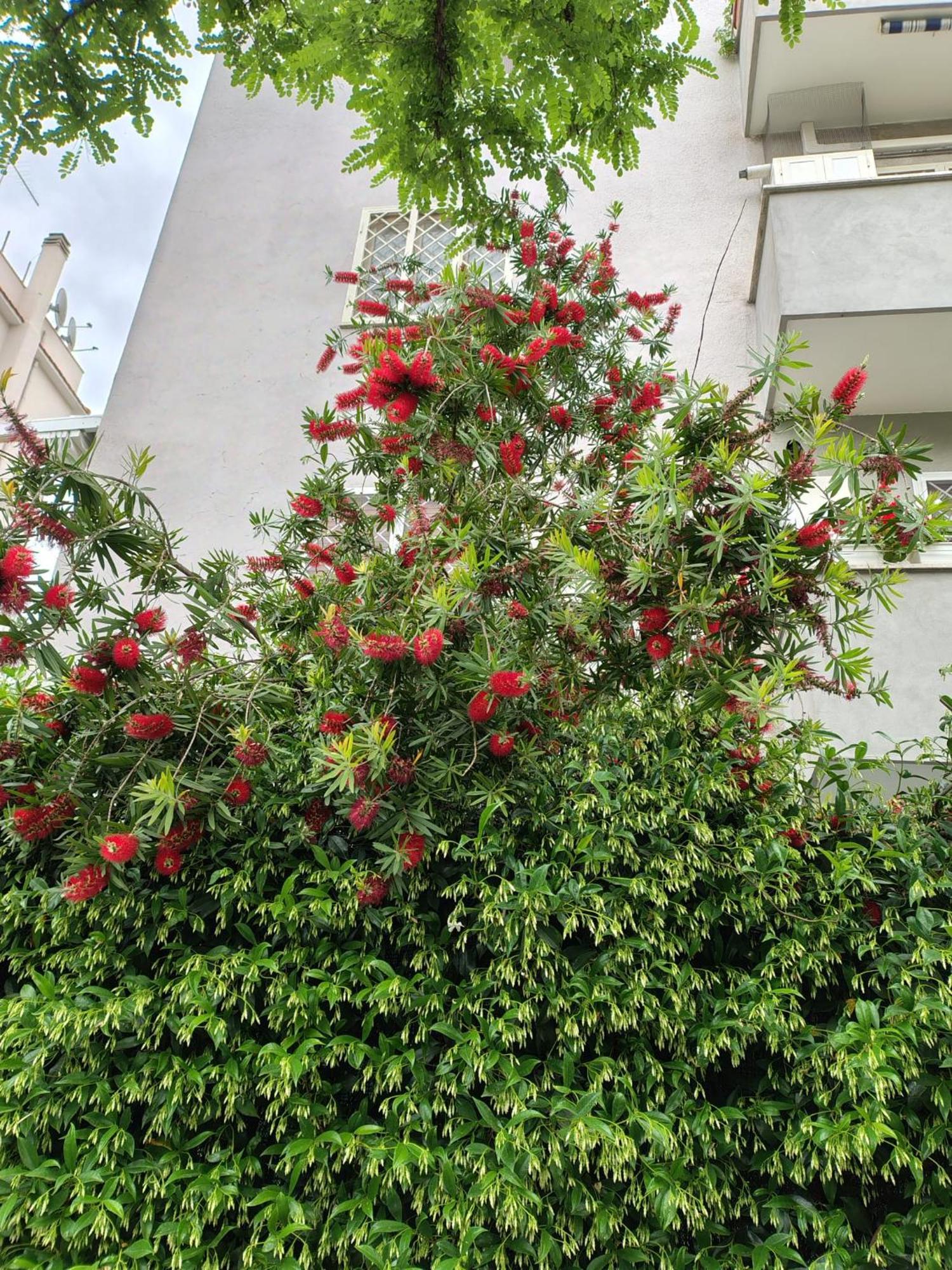 Il Pozzo Appartement Rome