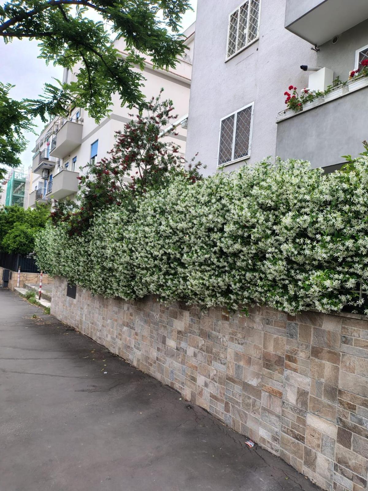 Il Pozzo Apartment